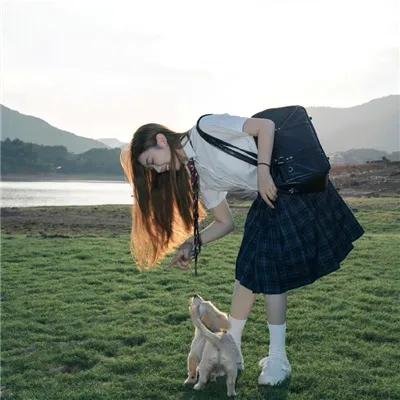 恋爱吧，寨主